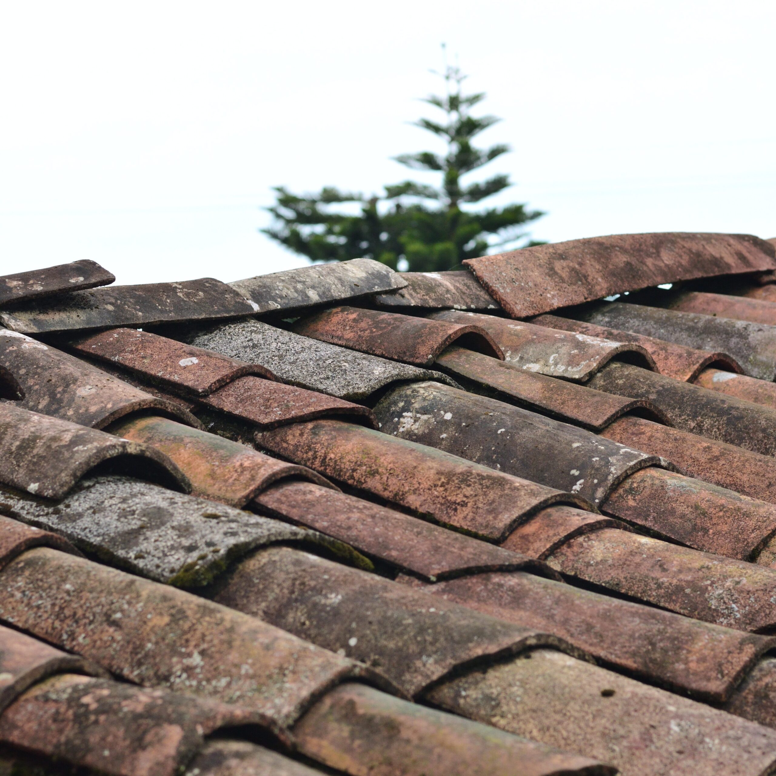 Altes Sanierungsbedürftiges Dach. Dachsanierungs vorteile
